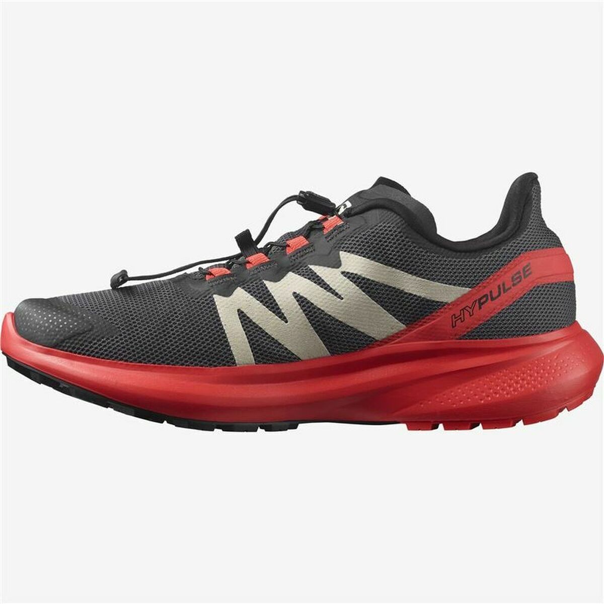 Running Shoes for Adults Salomon Hypulse Men