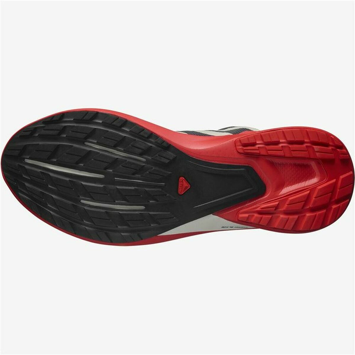Running Shoes for Adults Salomon Hypulse Men