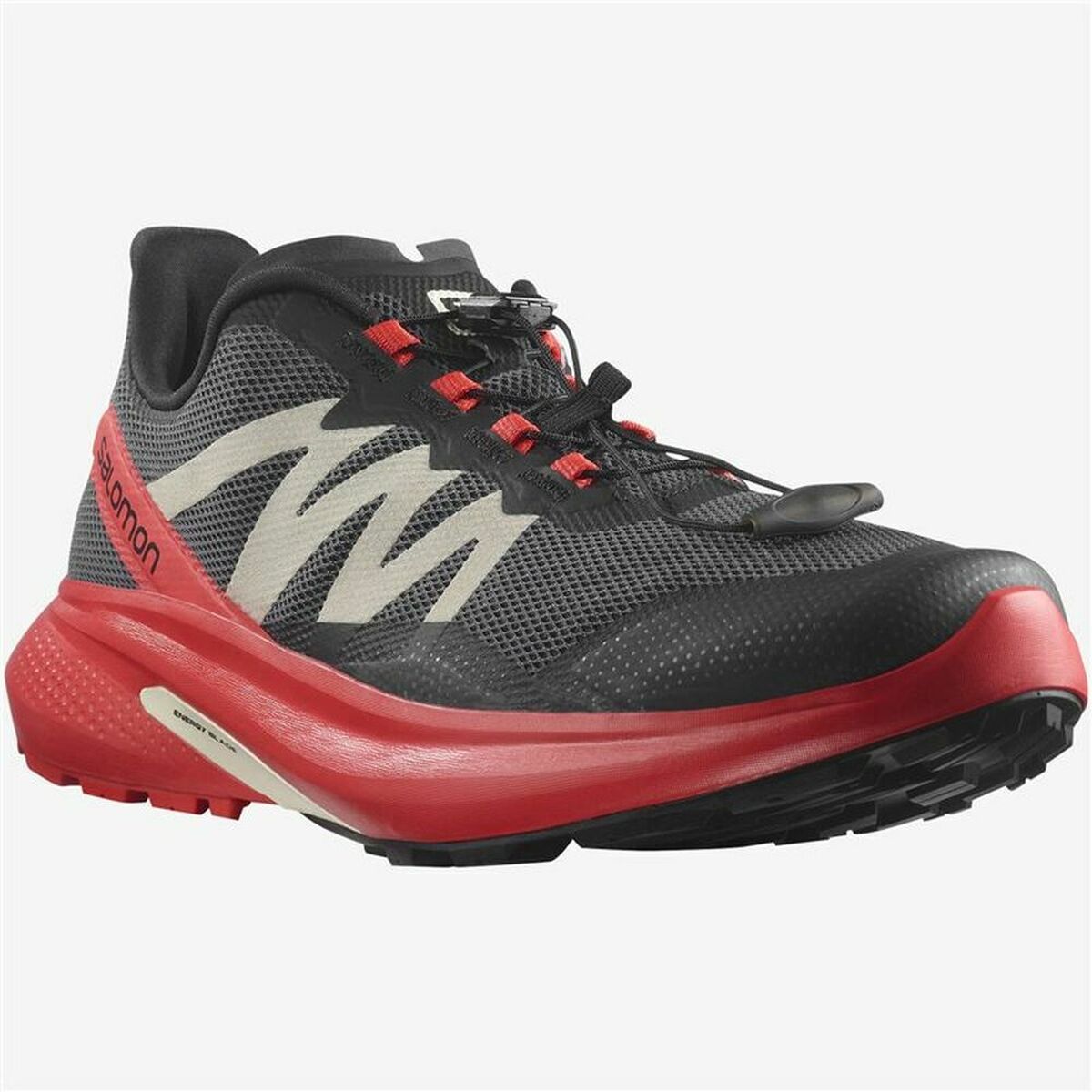 Running Shoes for Adults Salomon Hypulse Men