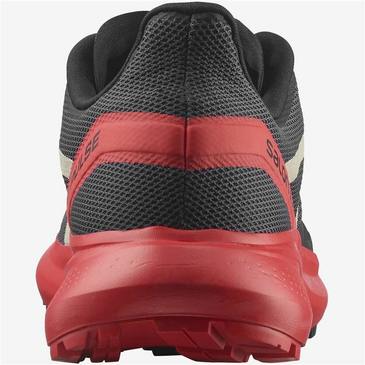 Running Shoes for Adults Salomon Hypulse Men
