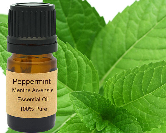 Peppermint Essential Oil 15ml
