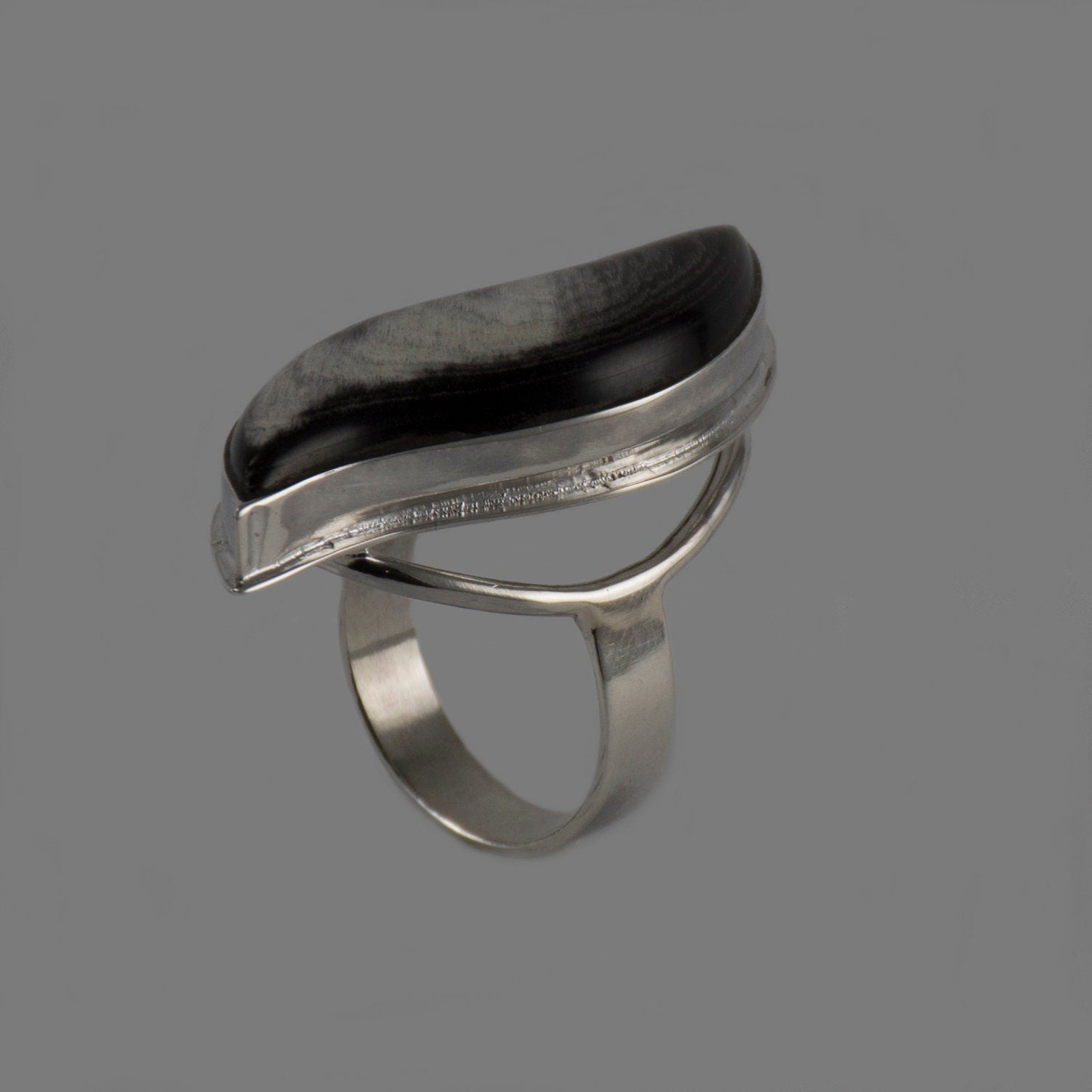 Silver Ring with Horn Inserted