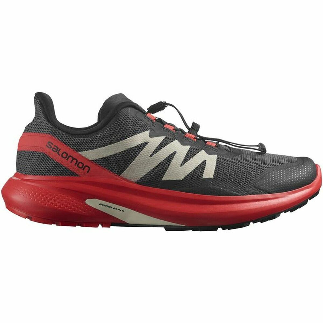 Running Shoes for Adults Salomon Hypulse Men