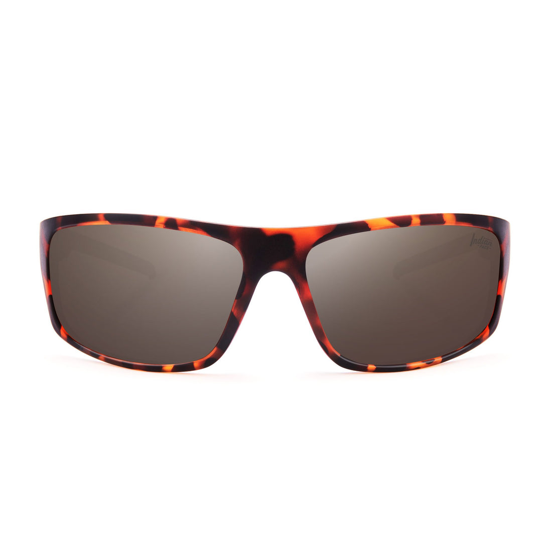 Outbreak Tortoise / Brown