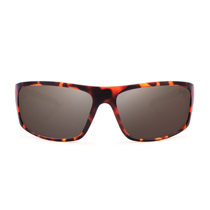 Outbreak Tortoise / Brown