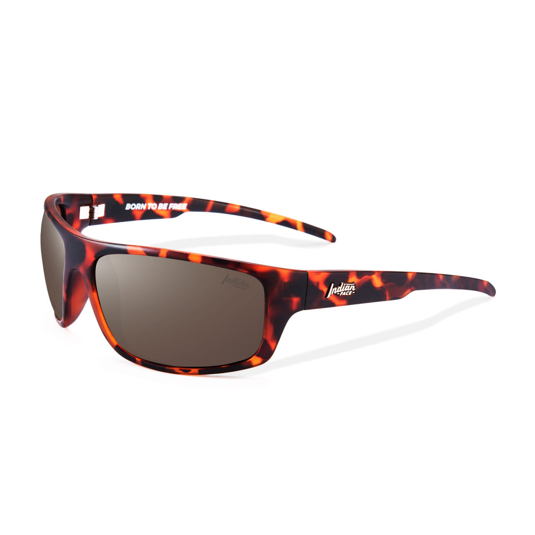 Outbreak Tortoise / Brown