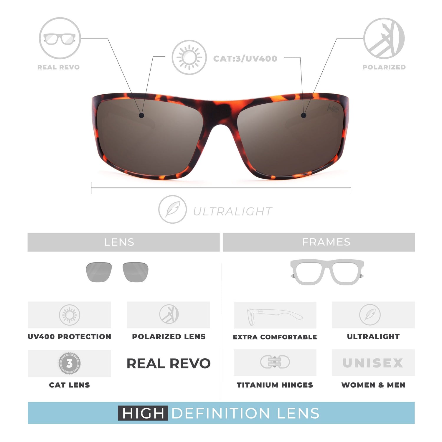 Outbreak Tortoise / Brown