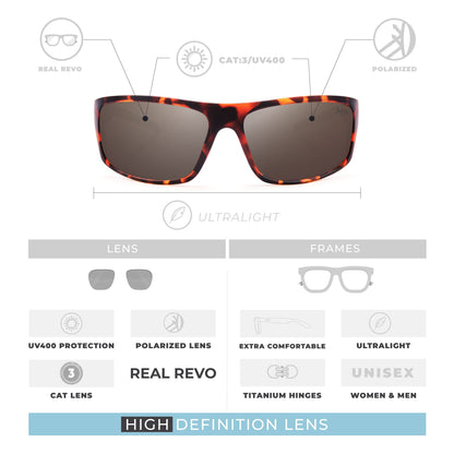 Outbreak Tortoise / Brown