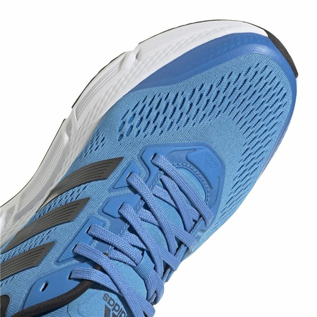 Running Shoes for Adults Adidas Questar Blue Men