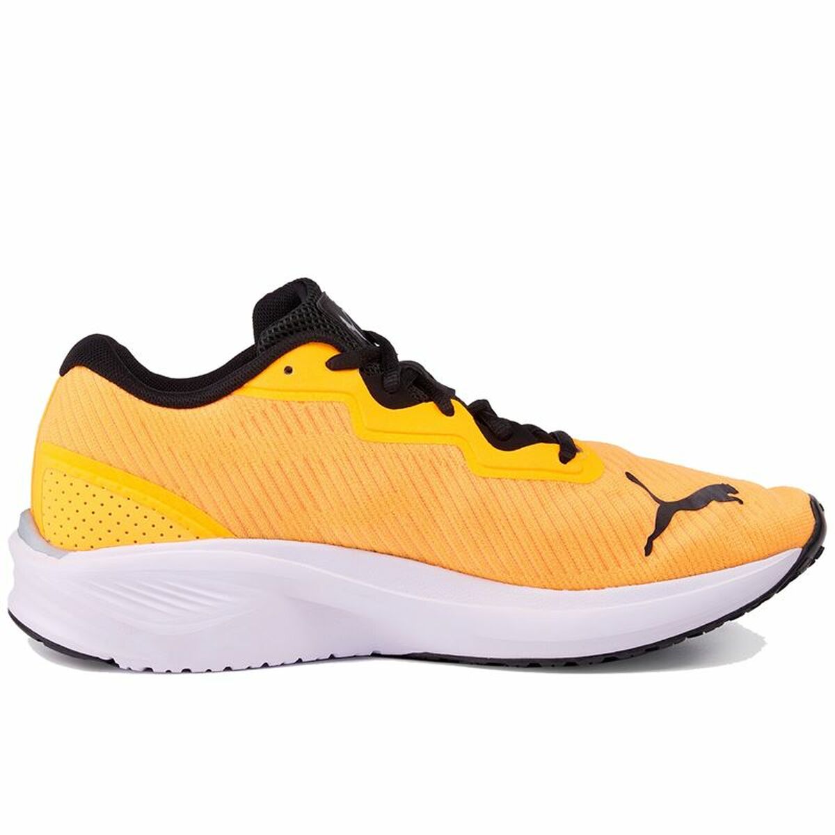 Running Shoes for Adults Puma Aviator Profoam Sky Orange Men