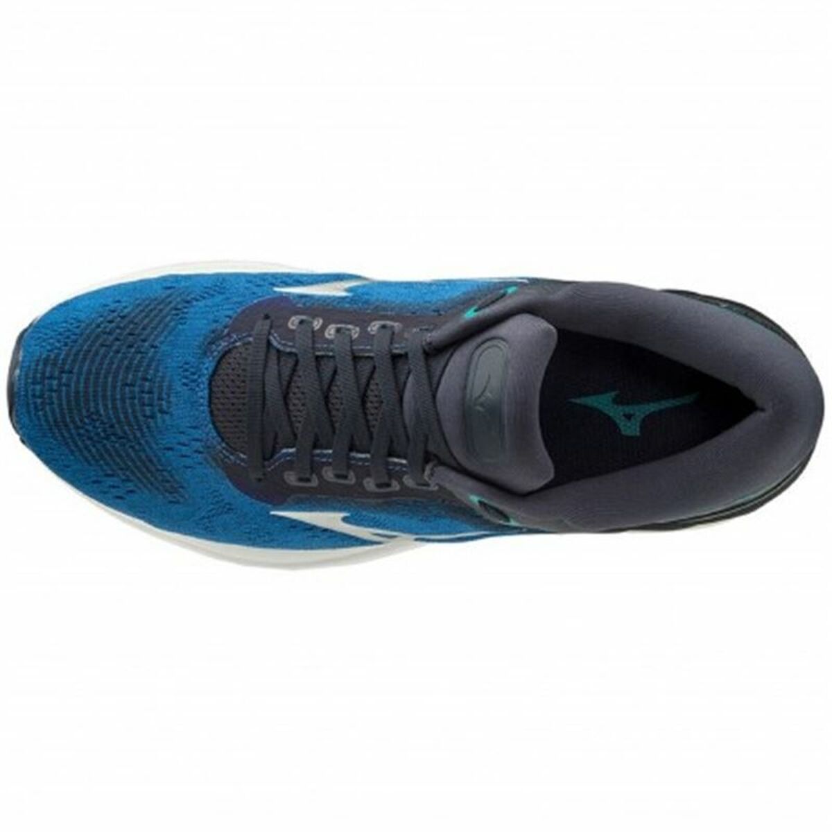 Running Shoes for Adults Mizuno Wave SkyRise Blue Men