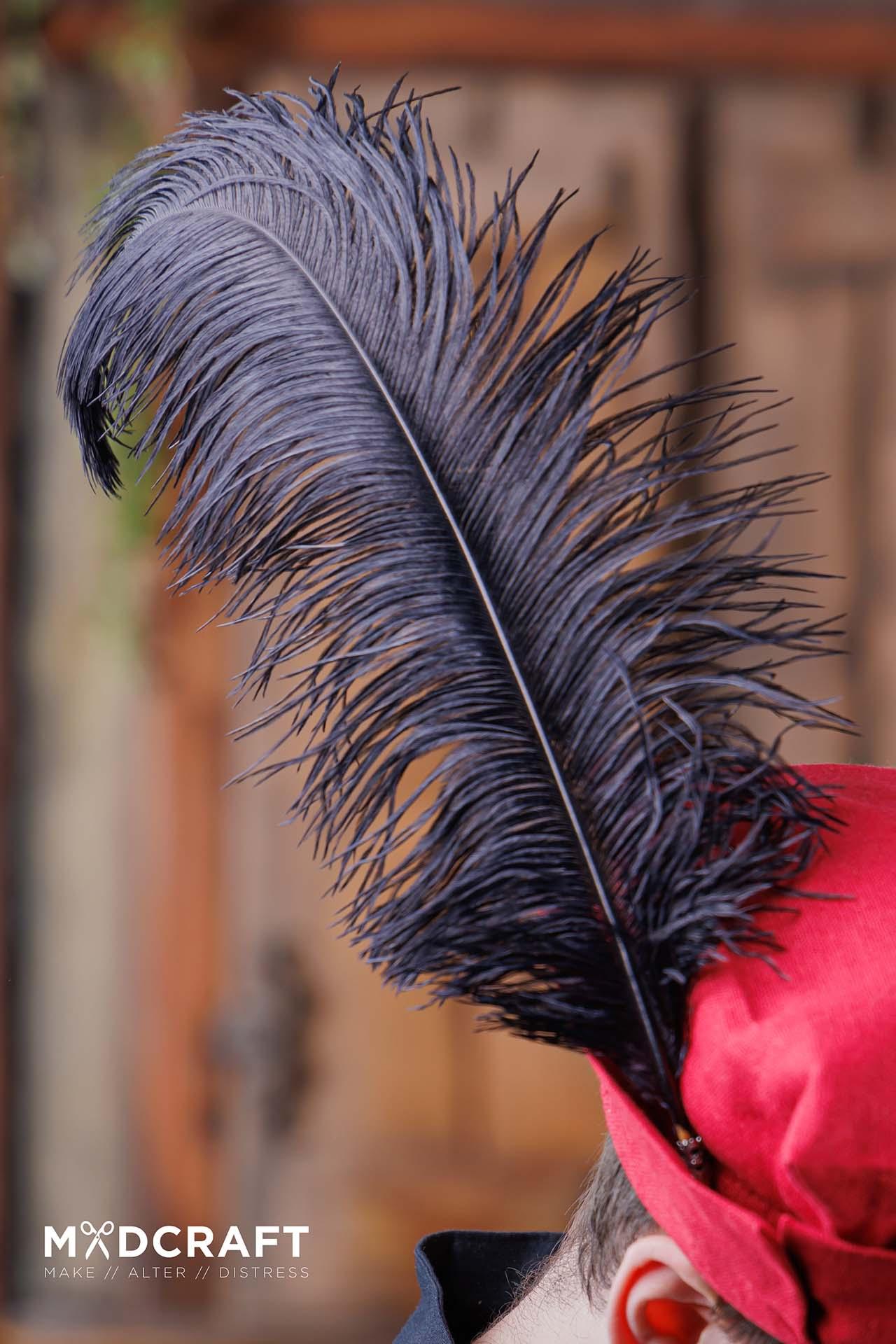 Ostrich Feather 45-50cm Black