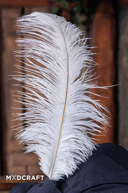 Ostrich Feather 45-50cm White