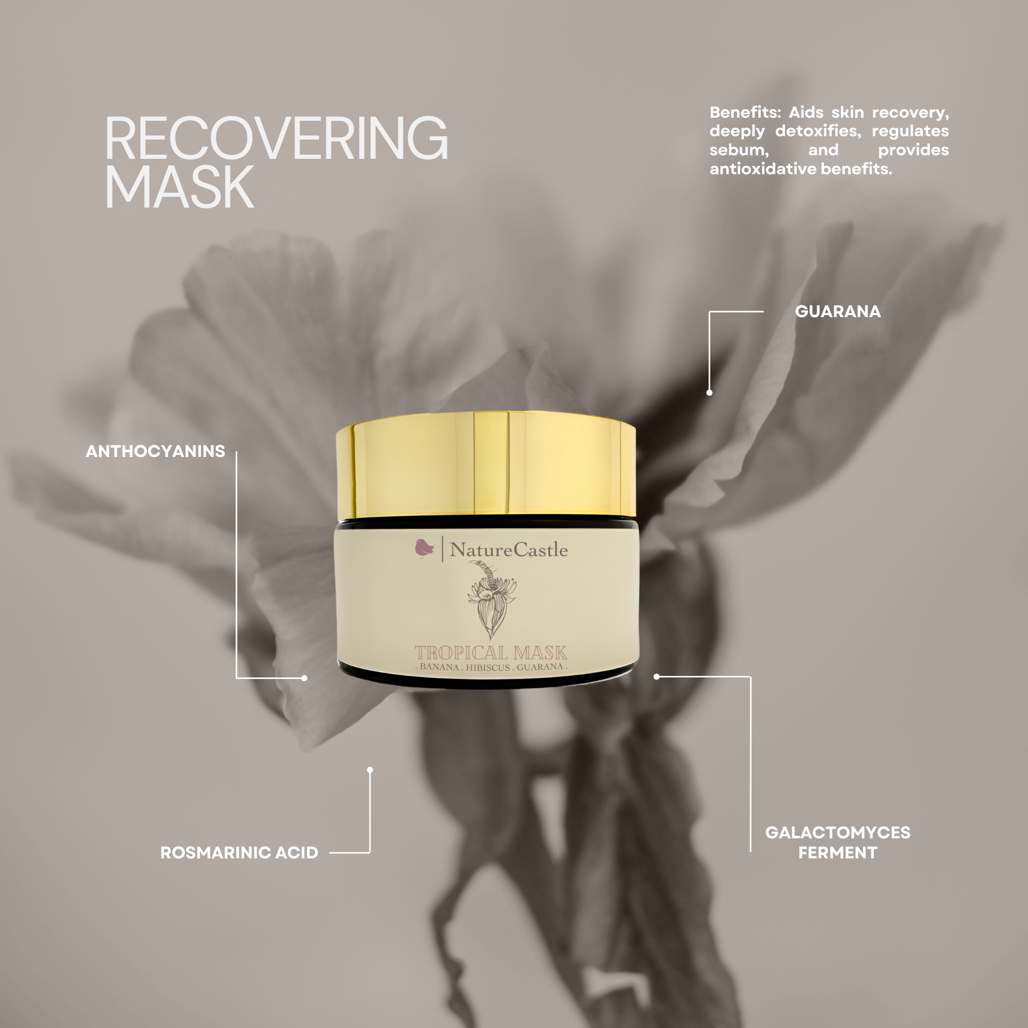 Recovering Mask