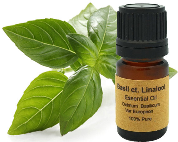 Basil CT. Linalool 10 ml or 15 ml.