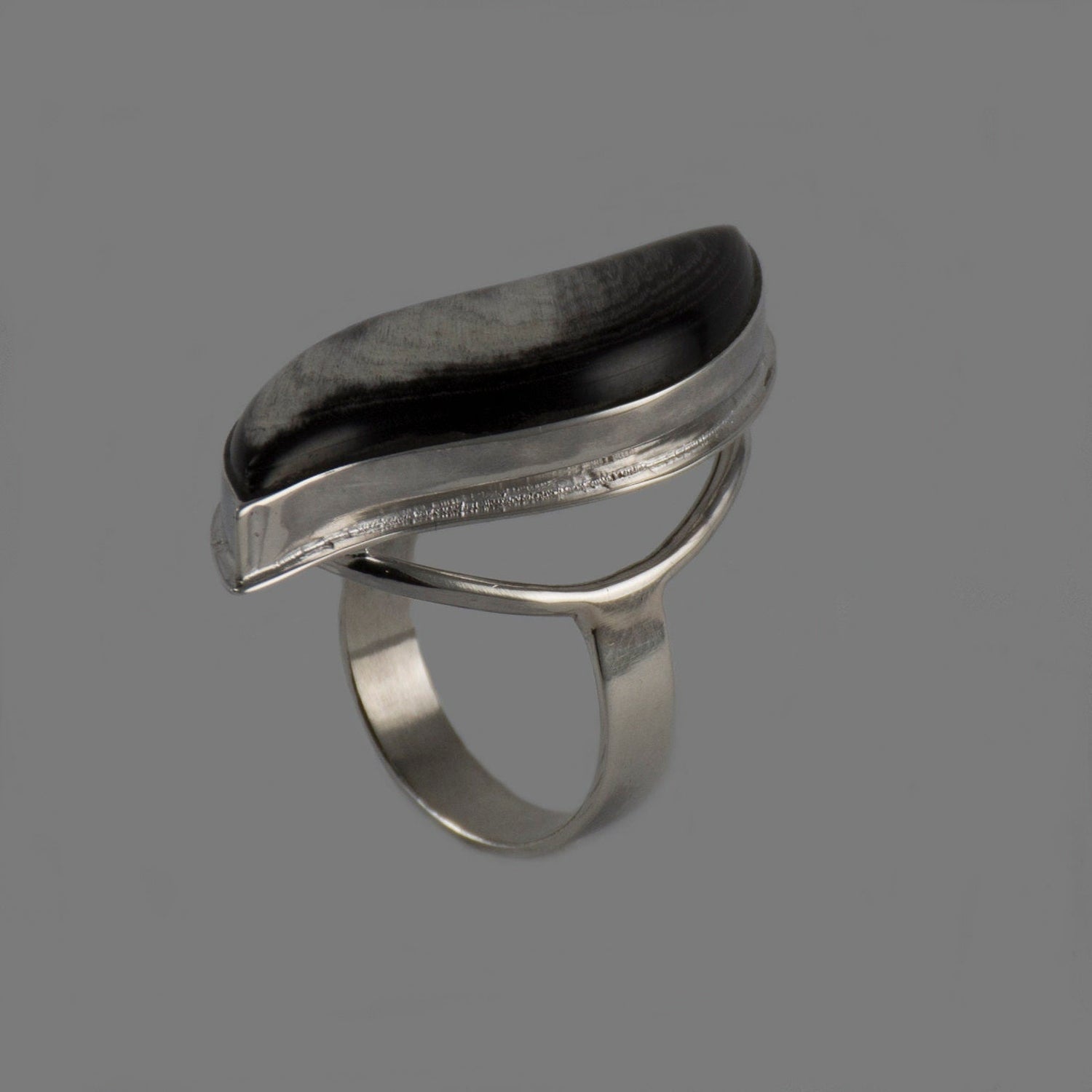 Silver Ring with Horn Inserted