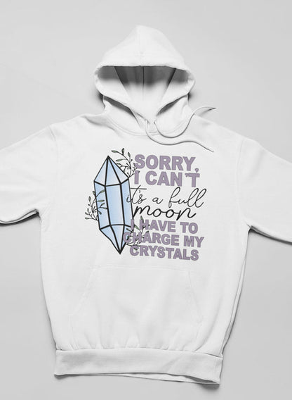 I Have To Charge My Crystals Hoodie